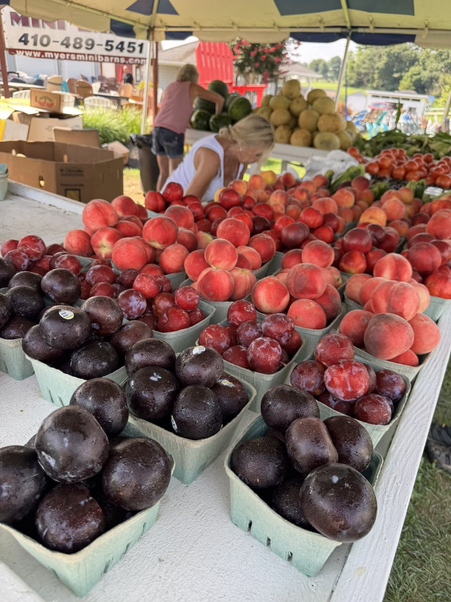 GYMRATCRYPTO (@gymratcrypto) on Twitter photo Good morning fam 🌞
Fresh fruit and veggies on a Sunday | that’s the move.
Being human is incredible. 🍓 Good morning fam 🌞
Fresh fruit and veggies on a Sunday | that’s the move.
Being human is incredible. 🍓