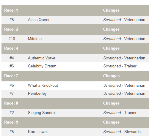GULFSTREAM PARK    
DOMINGO 27/07/2025      
Retirados.