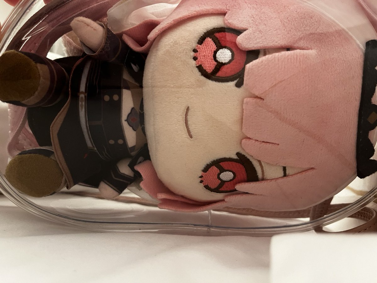 saku_X3's tweet image. いつもは祭壇から見守ってくれてるカリぬい、今回の旅ではずっと一緒。寝る時も🫶

Good night!