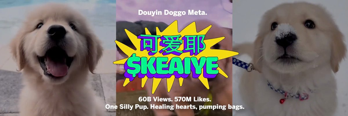 nhat.base.eth (@nhateth) on Twitter photo Meet 可爱耶 - $KEAIYE on <a href="/bonk_fun/">letsBONK.fun</a> the golden pup everyone loves.
Forever loving this silly dog, sharing vibes of healing and joy.
60B+ views, 570M likes, 3.5M followers on Douyin.
CA : aZ8JC9c5GBRNzhPHfHckU25XU3LZAZWw7xWtfBjPdYs Meet 可爱耶 - $KEAIYE on <a href="/bonk_fun/">letsBONK.fun</a> the golden pup everyone loves.
Forever loving this silly dog, sharing vibes of healing and joy.
60B+ views, 570M likes, 3.5M followers on Douyin.
CA : aZ8JC9c5GBRNzhPHfHckU25XU3LZAZWw7xWtfBjPdYs