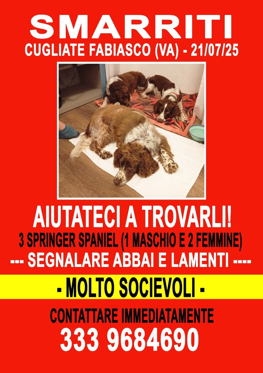 CONDIVIDETE PER FAVORE‼️‼️‼️