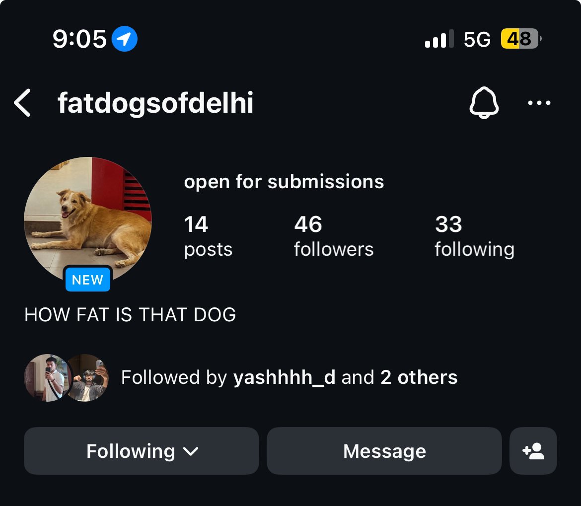 dhritss's tweet image. which oomf is behind this 😭