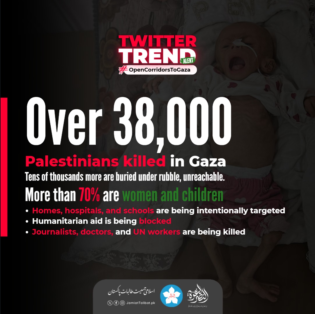 🔻ZM🇵🇸 tweet media