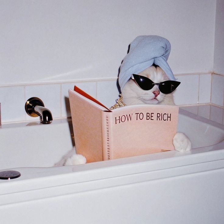 Diego ๐ & Alice ๐โโฌ๐ (@booklover9851) on Twitter photo Hey food fren Barnz <a href="/Wackelkasper/">Oscar, Sunny&Barney ๐๐</a> Iโm doing a bit of reading. Could be interesting for mew too ๐๐น Hey food fren Barnz <a href="/Wackelkasper/">Oscar, Sunny&Barney ๐๐</a> Iโm doing a bit of reading. Could be interesting for mew too ๐๐น