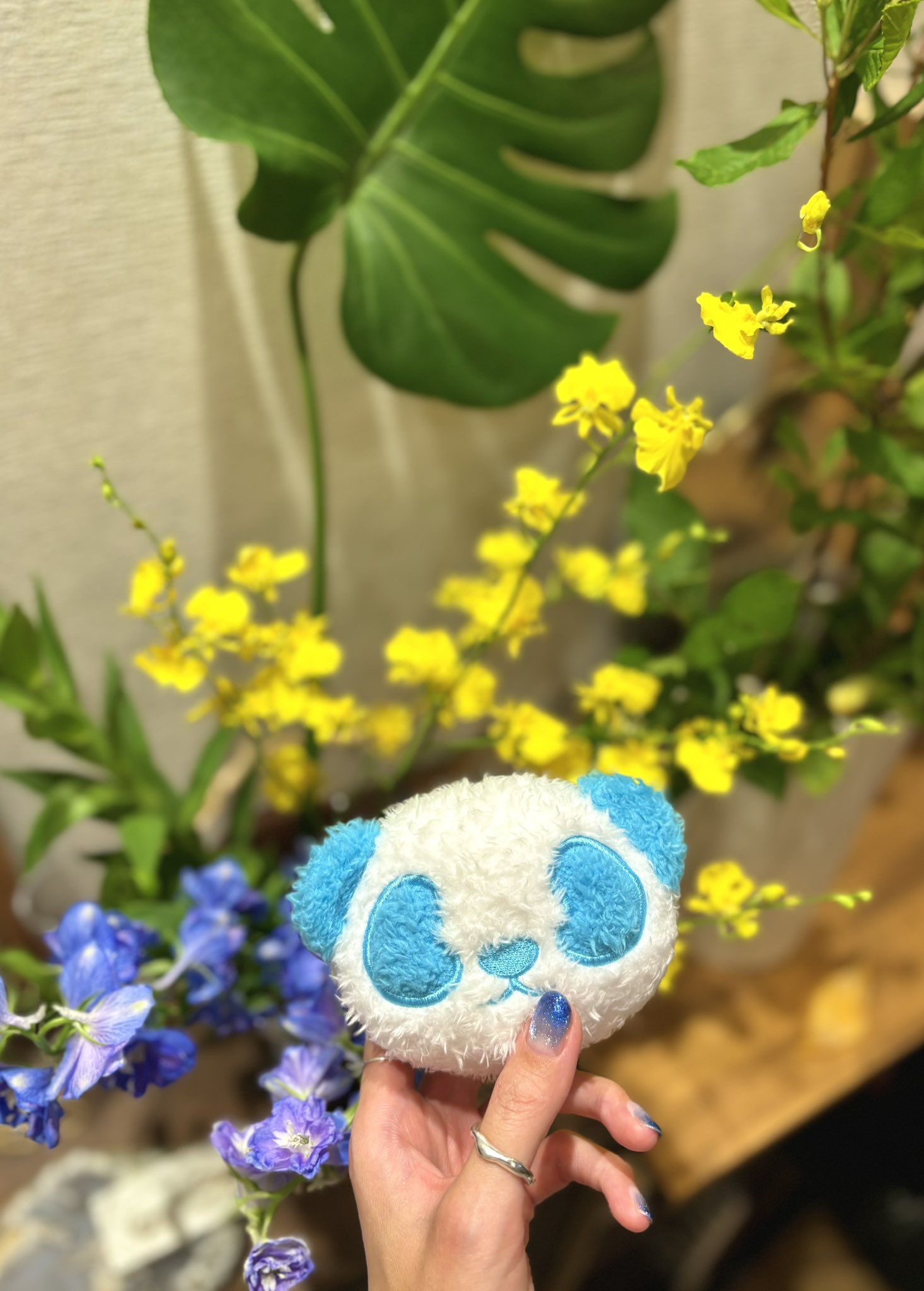 岩城星那 サイン入り絵馬 LIL LEAGUE 岩城星那 直筆メッセージ&サイン入りボード