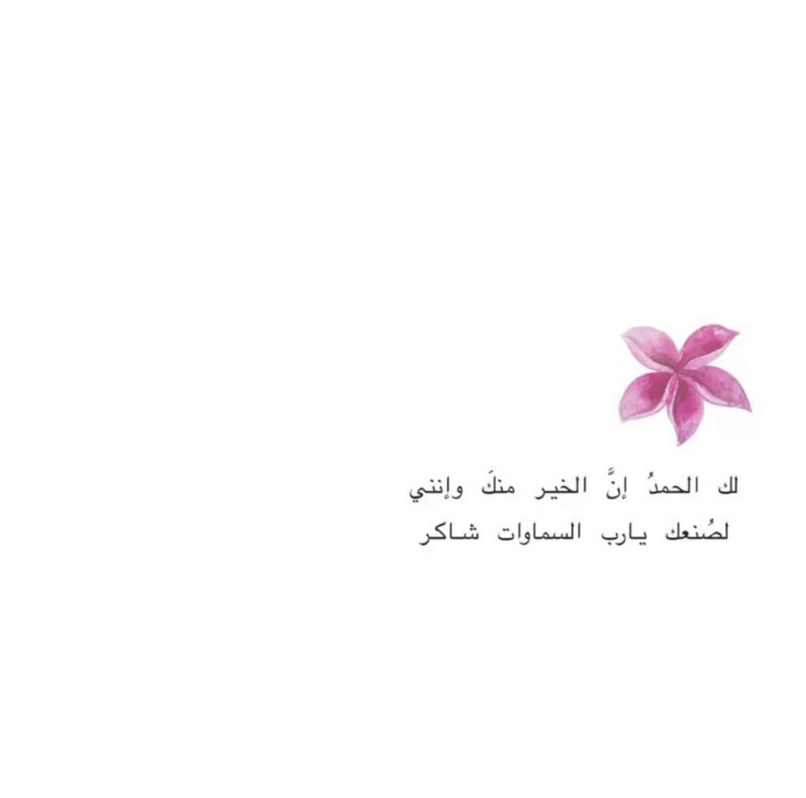  ﮼روح 𓋜🐎 tweet media