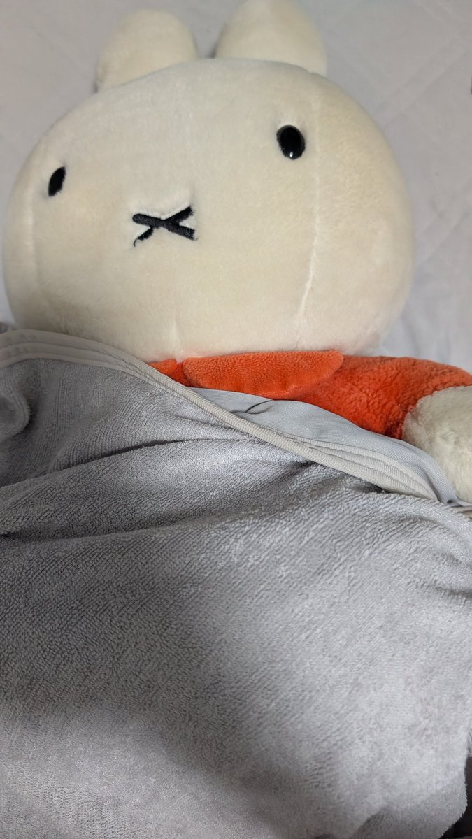miz7fff's tweet image. ねるぅ