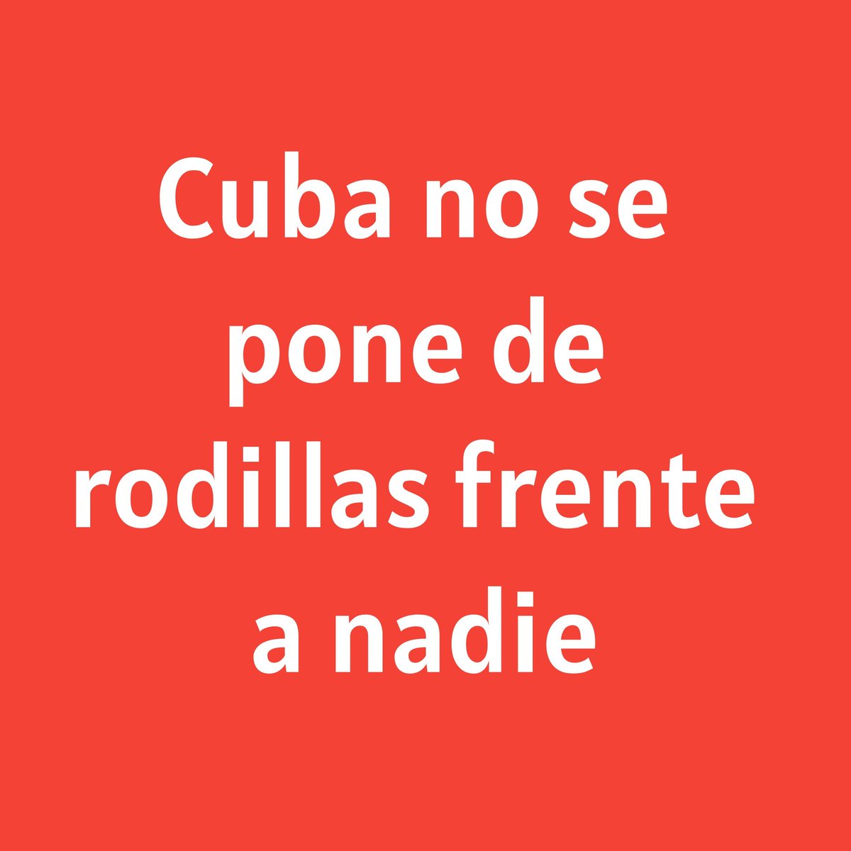 Frank Enrique 🇨🇺 tweet media