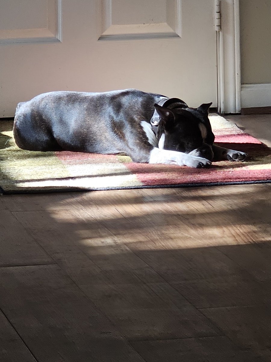 MikeRay59's tweet image. This guy loves Sunday mornings