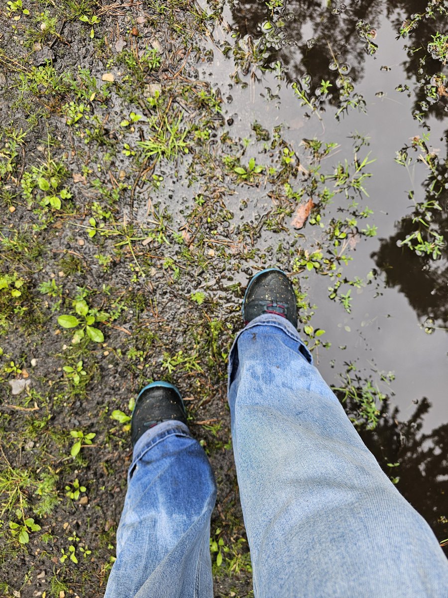 hel1pad's tweet image. Sommer 2025 in Deutschland: Sonne, Sonnenbrand, Shorts und Flipflops. Es läuft...