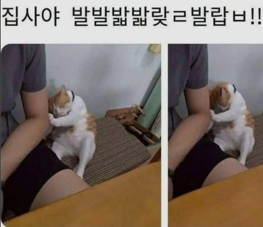 arr_kr's tweet image. 아 발꼇다고!