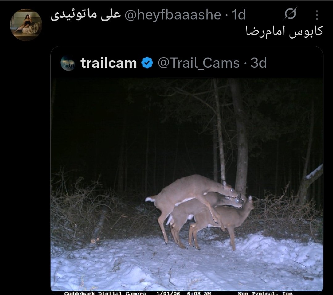 Reza (@re_os1986) on Twitter photo 