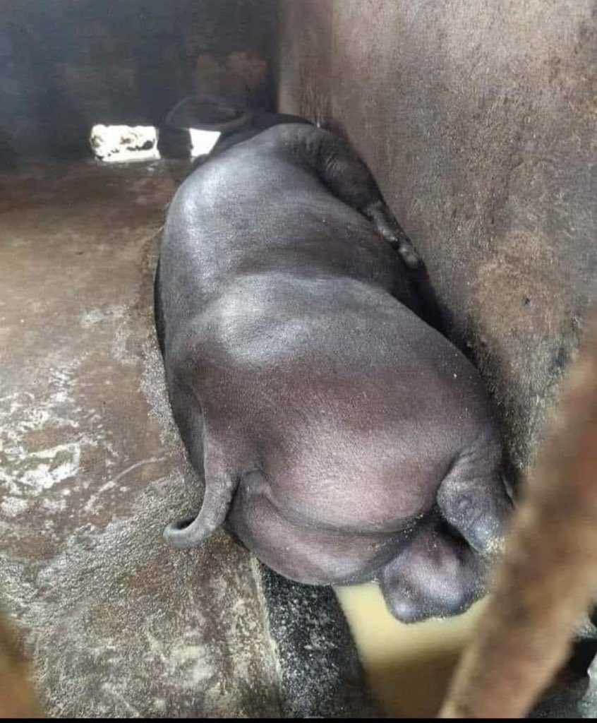 La sieste de fou que j’viens d’faire