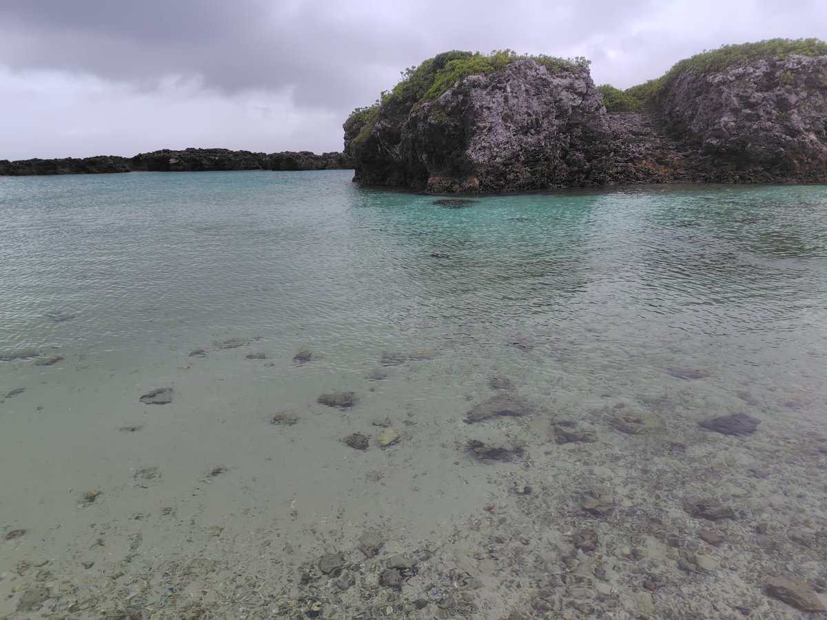 NOISEoTHEM's tweet image. 喜界島、とても美しくて来れて良かったと心の底から感じています。