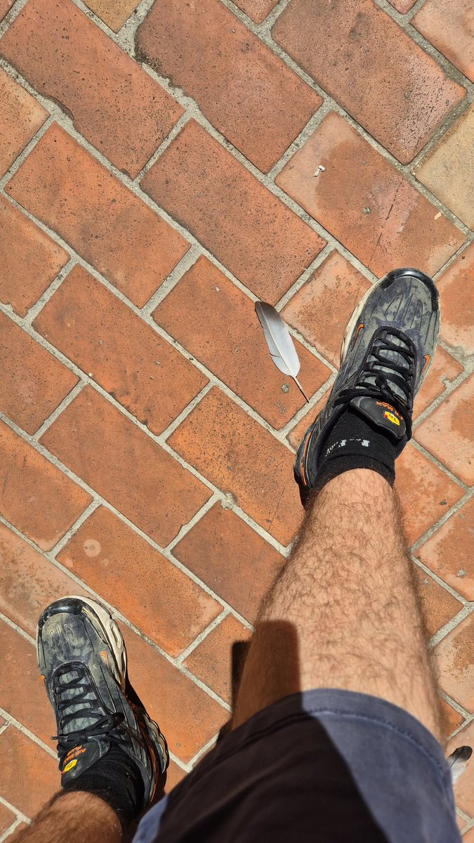 Comme quoi en ce moment faut mieux avec des ieps et des tns que une 🍆 ou un beau 🍑 ... au final, jai bien fait de vous rendre accro à moi par ce biais, ca change rien entre nous ... je serai toujours là pour vous deplumer les pigeons ... 😏👇🧎‍♂️🔥💸😈