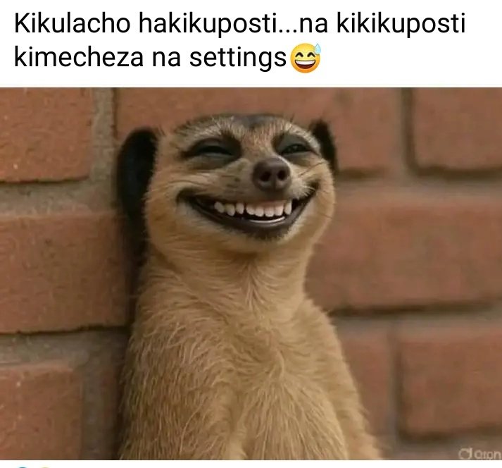Sina mengi ni hayo tu