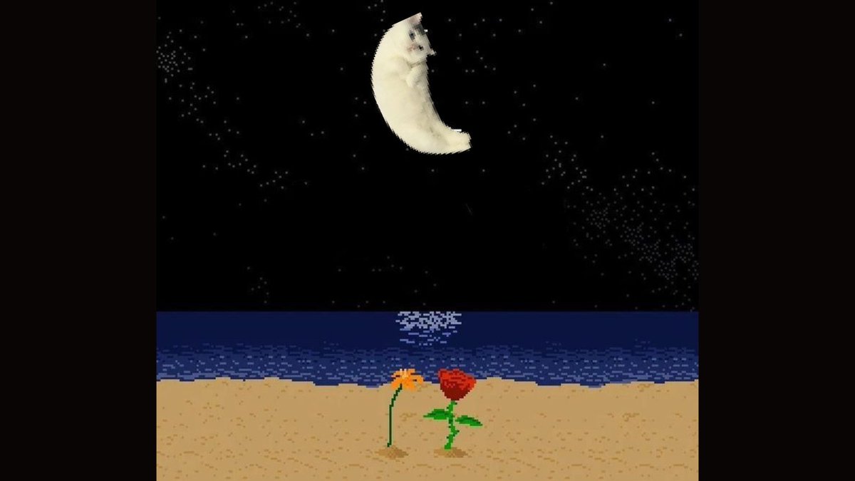 MeKoins's tweet image. 🌙🐱 #mooncat