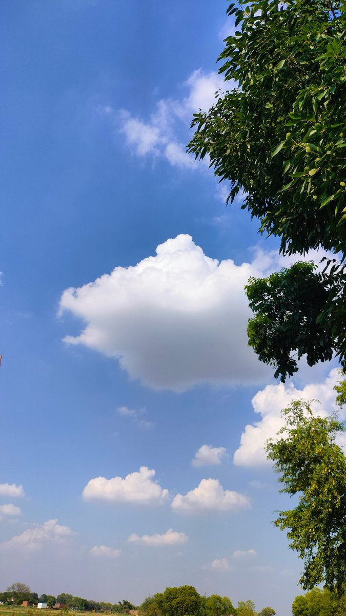 "The soul of India lives in its villages" - Indeed!

Moods of Bikrampur village, Ghazipur, Uttar Pradesh by our Weather&amp;Radar app user Shailesh Yadav. 

#uttarpradesh #ghazipur