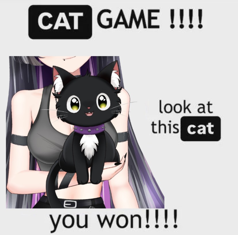🐈‍⬛️
