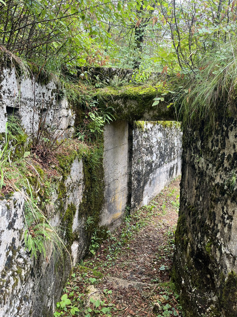 Up at Čelo today (Austrian second-line positions near Bovec). Excellent views of the Bovec valley, where the successful Austro-German gas attack in October 1917 launched the battle of Caporetto.