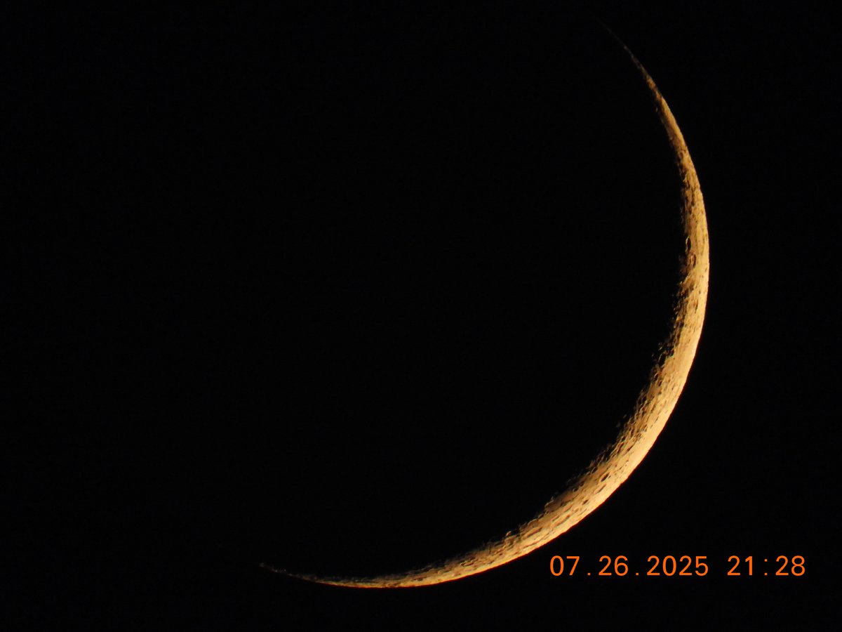 John Connor🥷🇺🇸 (@davesnotherex) on Twitter photo 