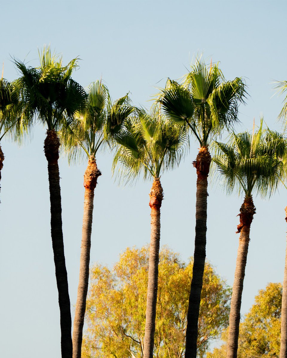 📸 <a href="/U_D_Almeria/">UD Almería</a> <a href="/MalagaCF/">Málaga CF</a> ⚽ match

#marbellafootballcenter #mfc #marbella #playasyoutrain #malagacf #malagafans #malaga #pretemporadaUDA #udalmeria #uniondeportivaalmeria #almeria #españa #spain #pretemporadas #trainingcamps #concentraciones #friendlymatches #partidosamistosos