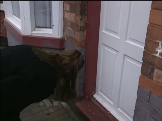 AndrewUllah's tweet image. Yesterday on my visit to 14 Lodge Road l managed to find where Ozzy signed the bricks outside his front door. The top one says John &amp;amp; the one underneath Iron Void 🤘🏼🙏🏽❤️