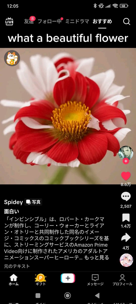 agentuchida1's tweet image. Spideyの投稿動画を楽しみましょう!#TikTok Lite lite.tiktok.com/t/ZSSYSy8Yb/
いやさすがに草
