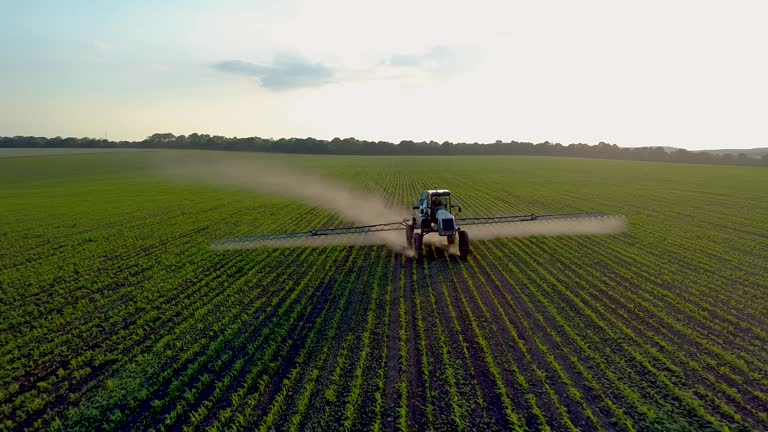 No-till has become synonymous with regenerative agriculture but the reality is that it's a Trojan horse for the excessive use of herbicides. 

At least 93% of these no-till acres rely on synthetic herbicides, with the total pesticide burden from these systems reaching 285 million