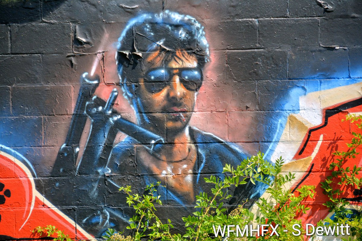 HfxMda's tweet image. It's a beautiful day in the HRM, with a light humidity haze on the harbour and barely a cloud in the sky, the breeze adds a comfortable touch to the warm summer day.
Path users at Dartmouth Cove get to enjoy the creative graffiti walls along the trail and watch as boats sail by