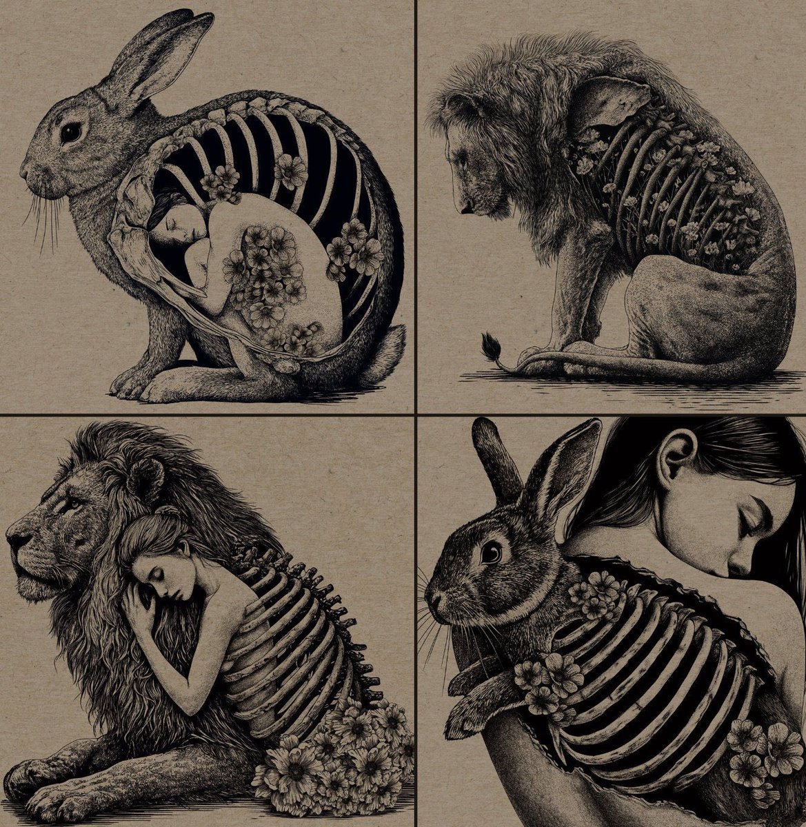 PersephoneLines's tweet image. my nocturnal animals