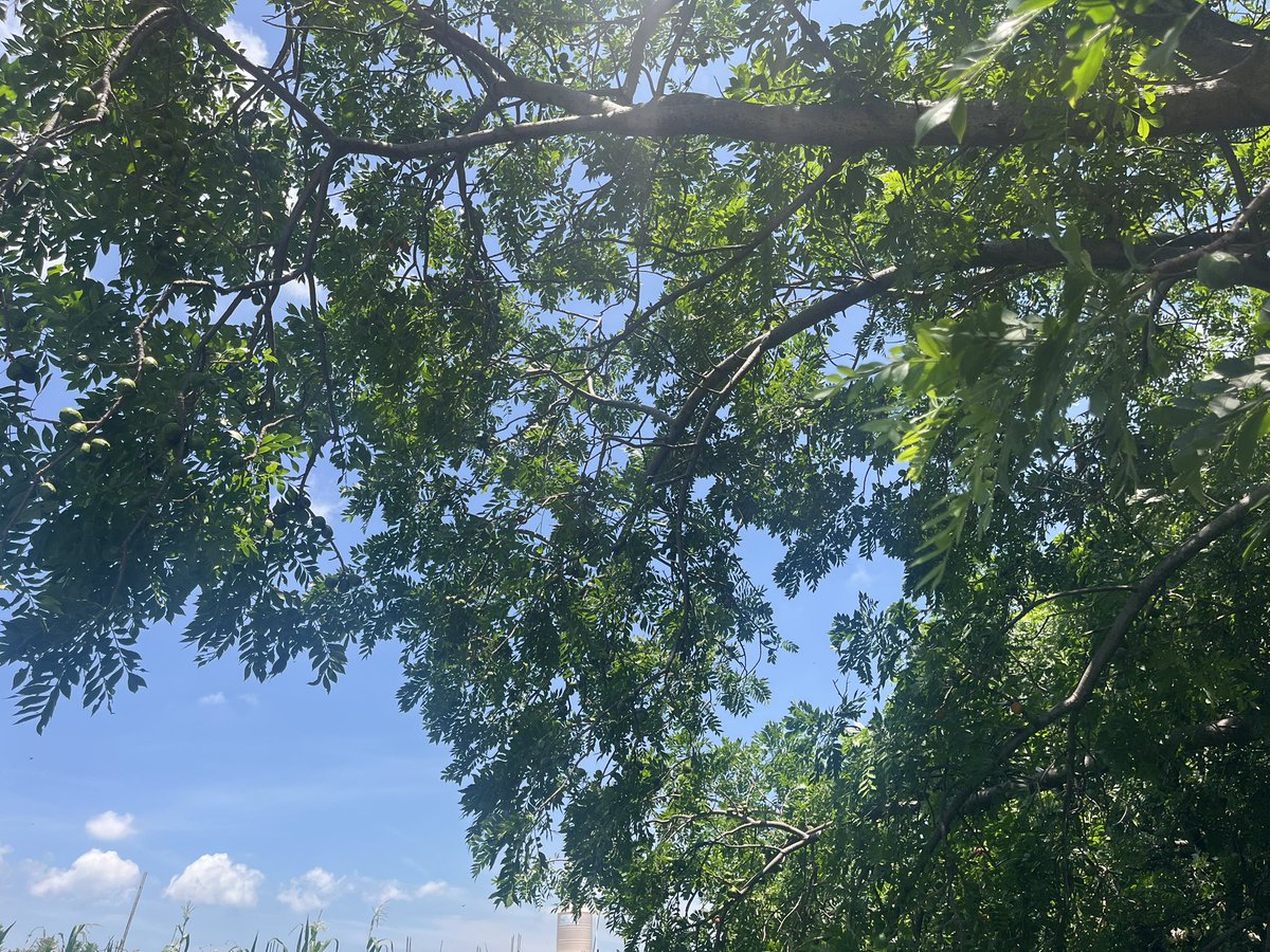 Que todos tengamos un gran domingo.