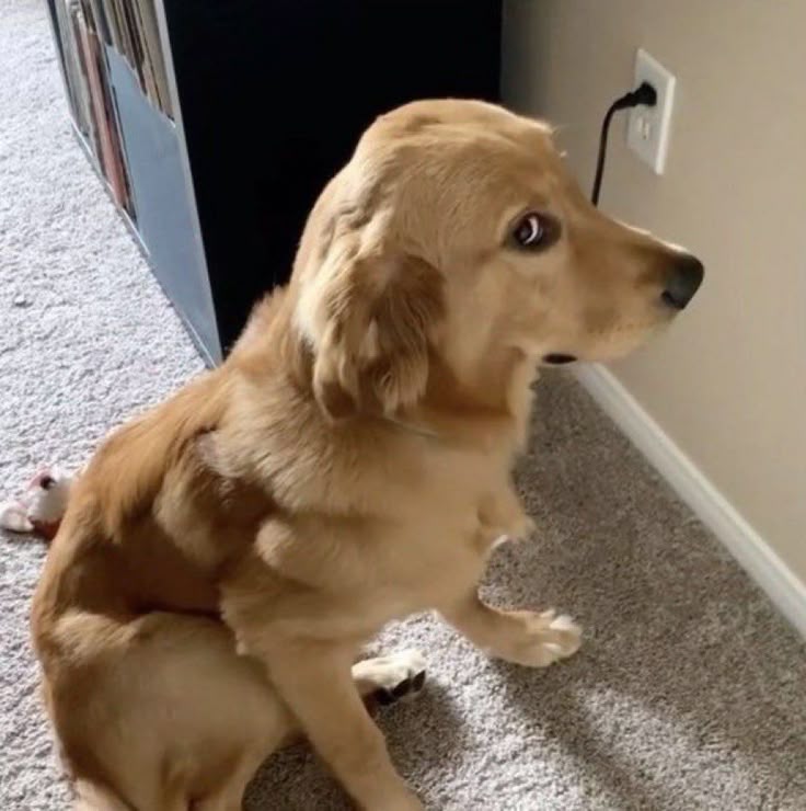 Crawyx's tweet image. He does this trust
