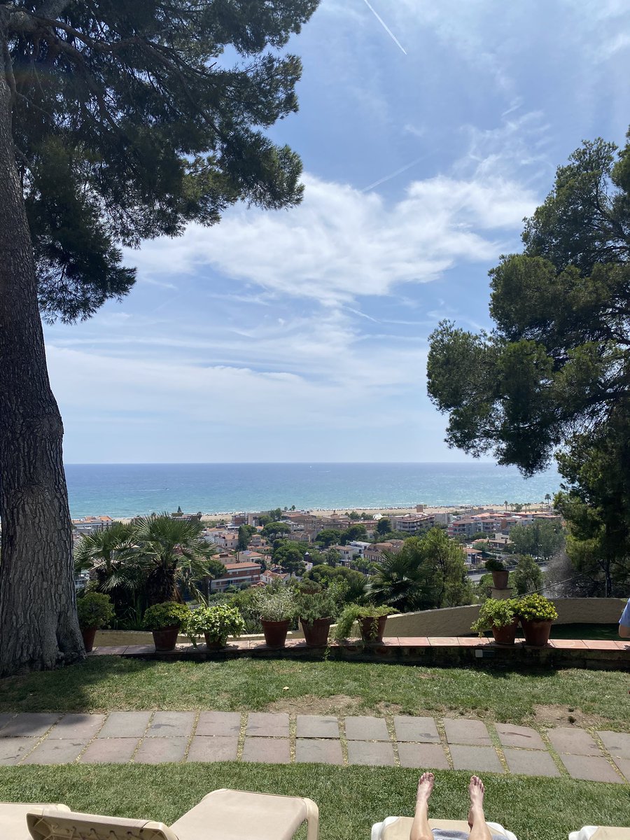 nikko 日光 🫧🍃 tweet media