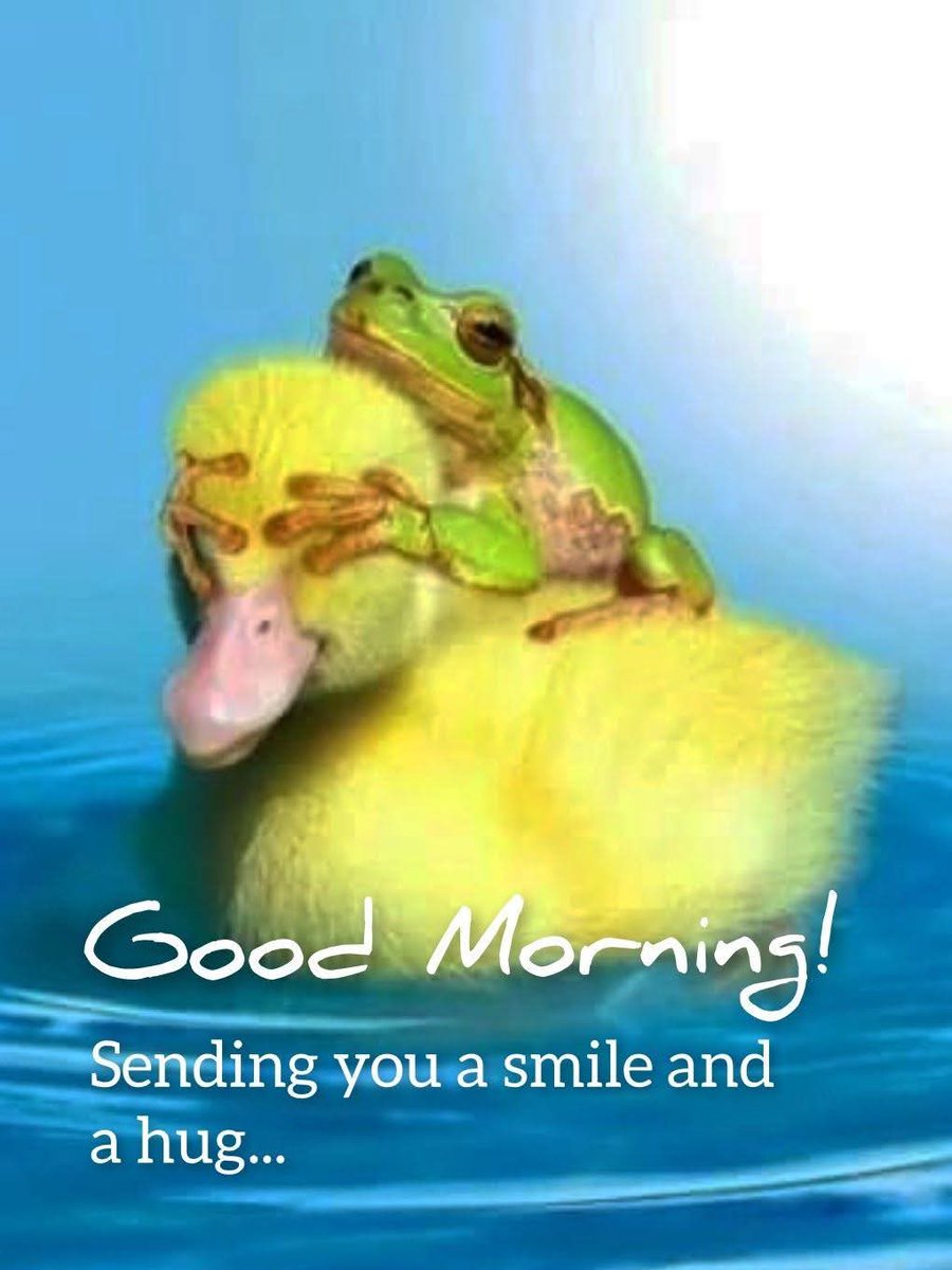 SPatriot61's tweet image. Good Sunday Morning Frens ! Hope everyone has a great day .. get outside and ground , put down the electronics take a breath and just be grateful for today. Love to all ! Think positive and positives will happen 馃尀鈽曪笍馃挌
