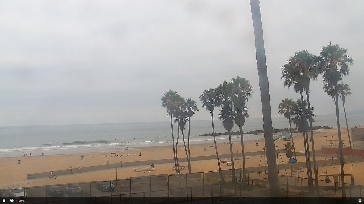venicetheseries's tweet image. Look at all those people waiting to catch a wave...might be a while.
