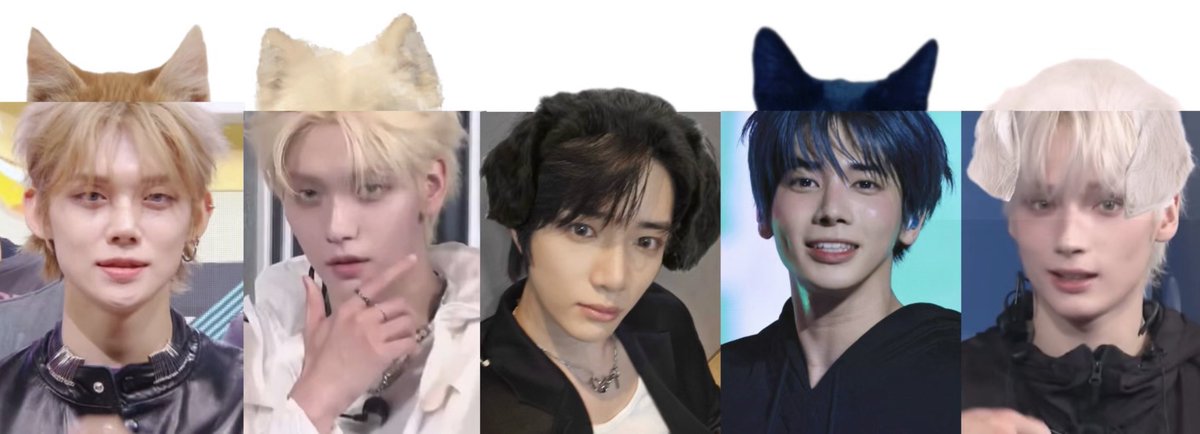 meow...... woof................ 🐾