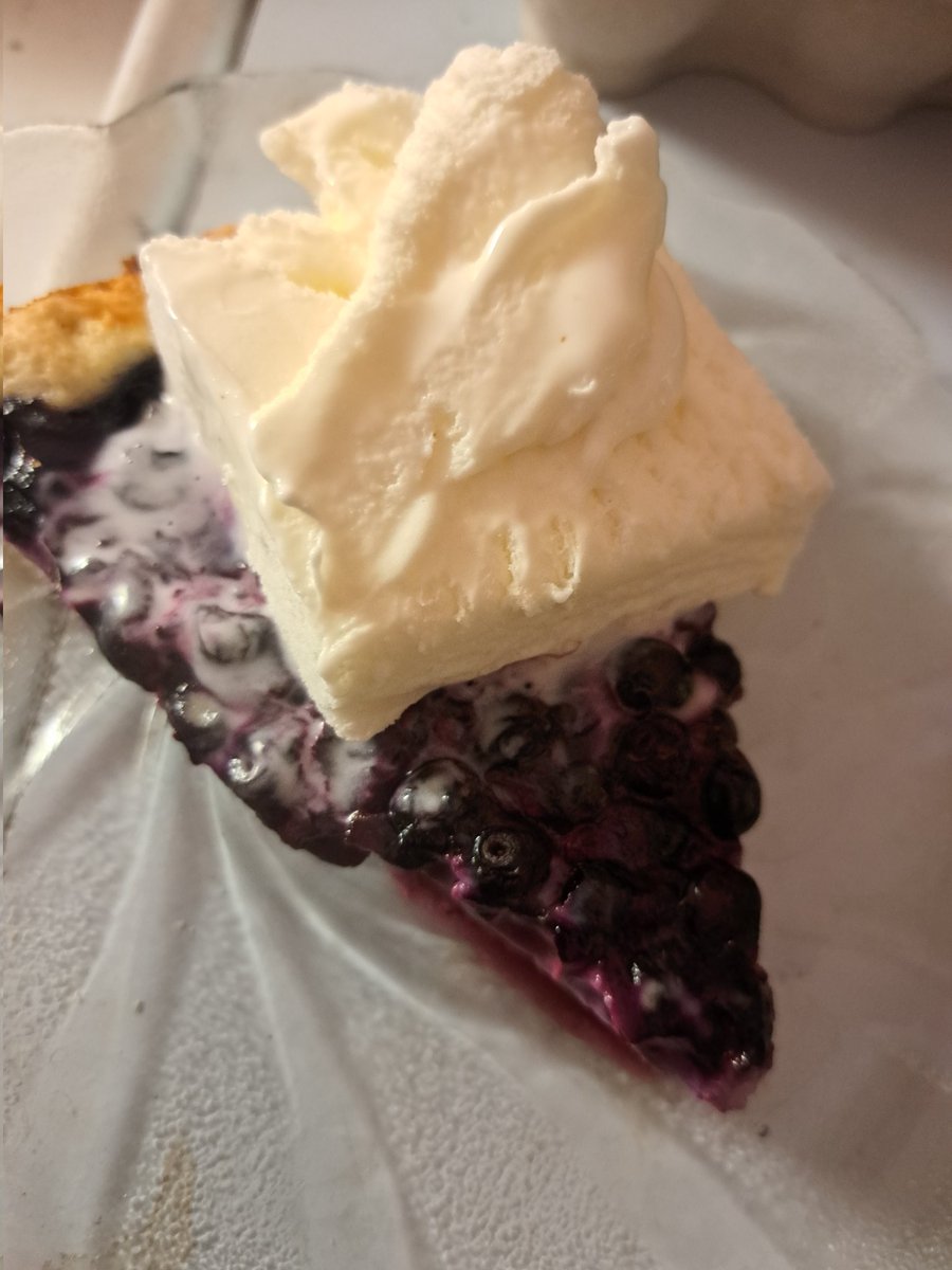 MerjaNiilola's tweet image. Palkkio metsässä häärimisestä: mustikkapiirakkaa kera jätskin.