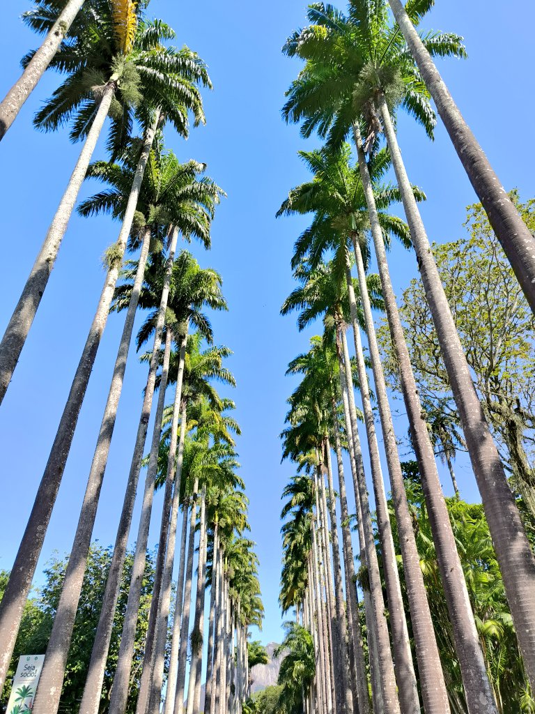 LuisAndrade55's tweet image. Aca, caminando
