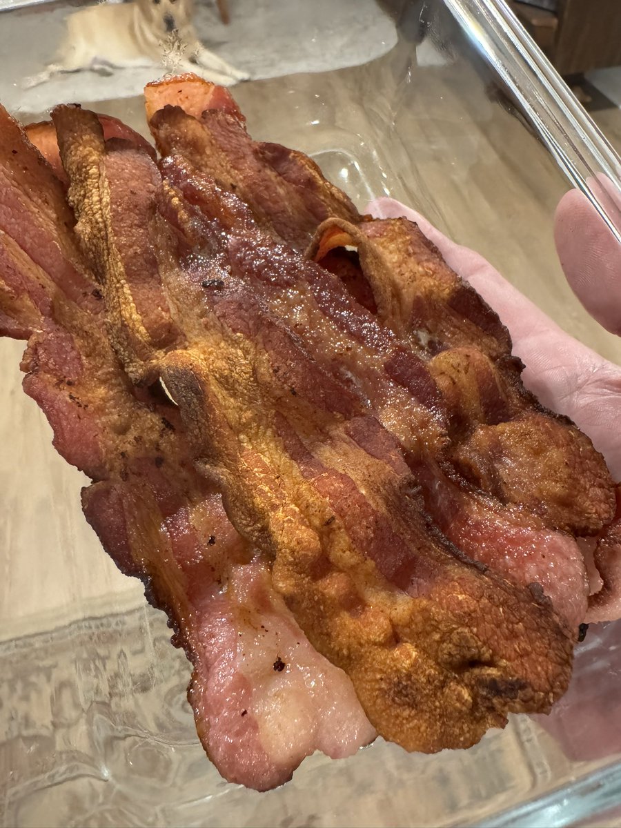 EmanBotl's tweet image. Any bacon fans out there?