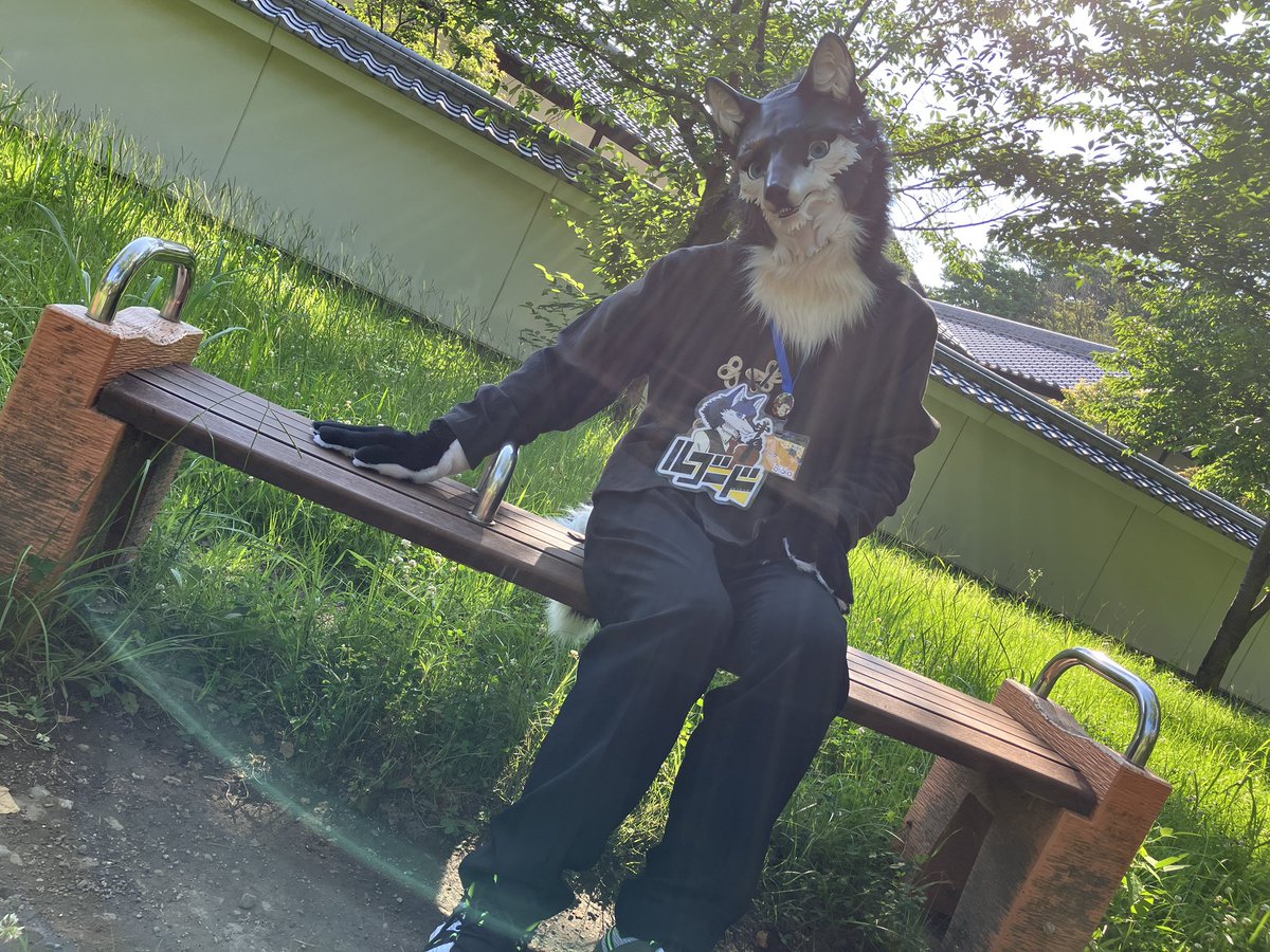 ergode_arc's tweet image. 一緒に座ろ #ケモノをみて今週もがんばりマンデー
📷tatsunoshin_da