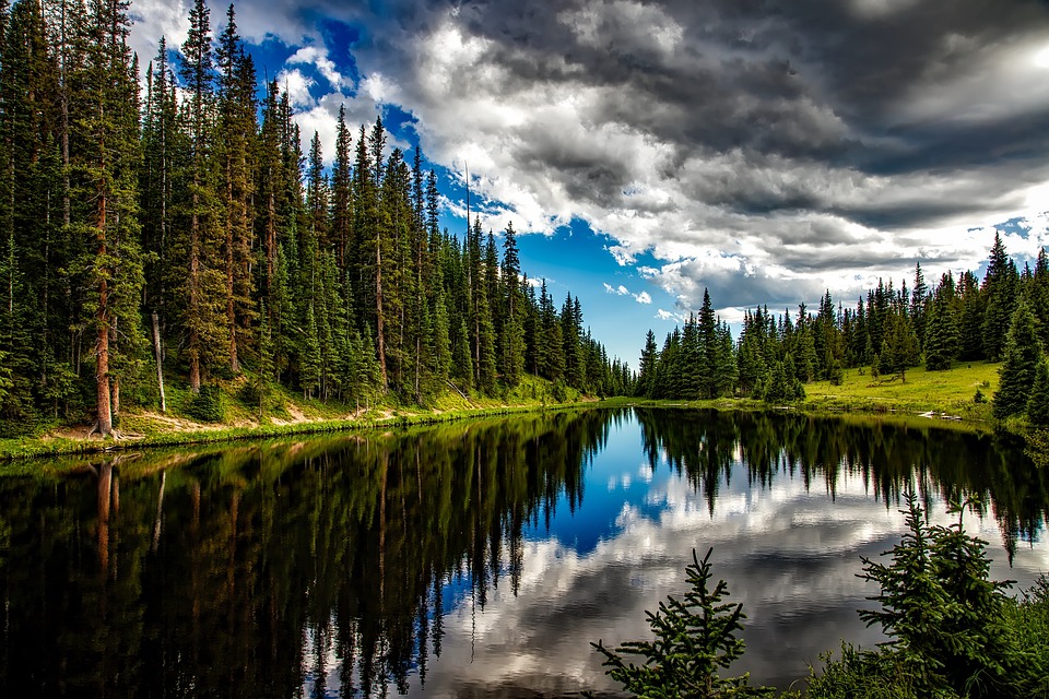 pelletierMario5's tweet image. dream landscape