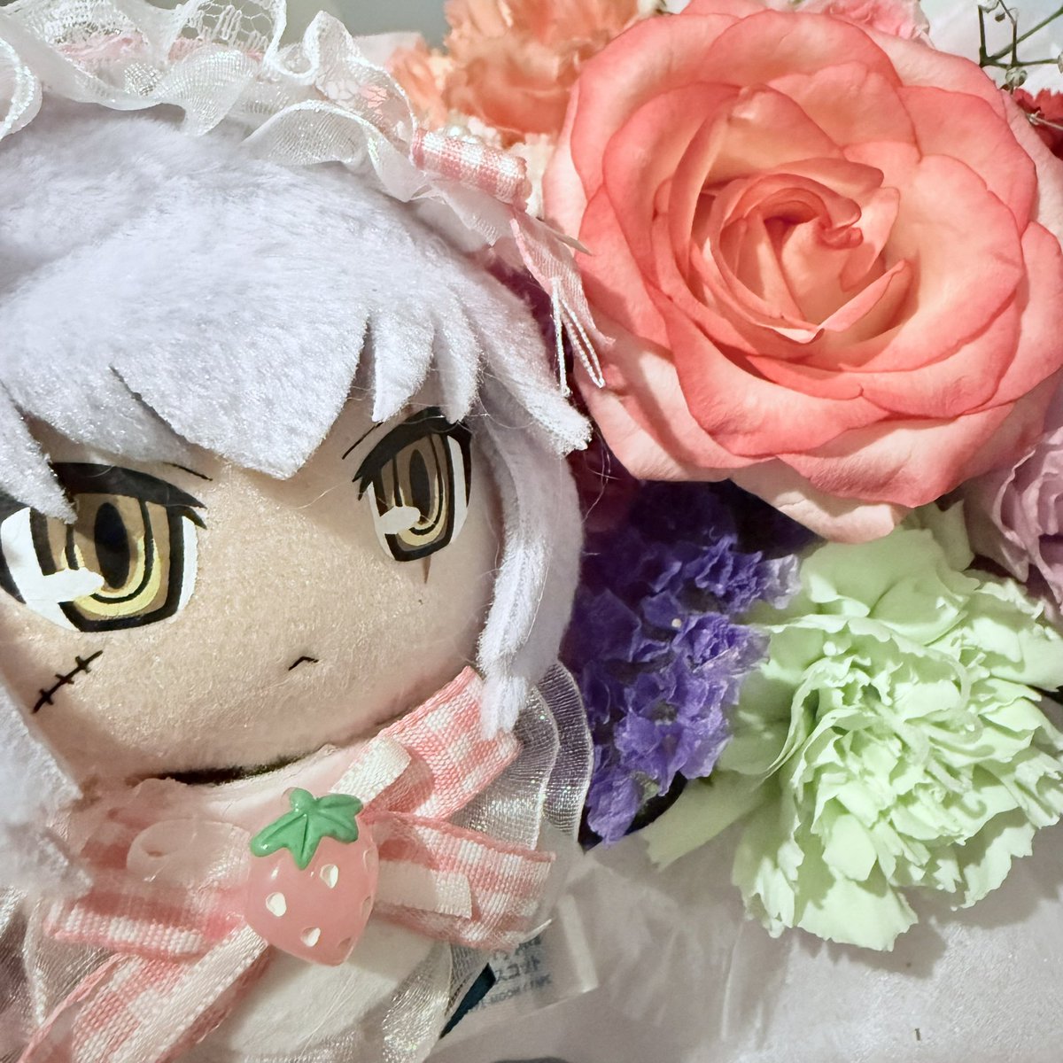 4ROSUKE's tweet image. 帰ったらお花あった。きれいだね。