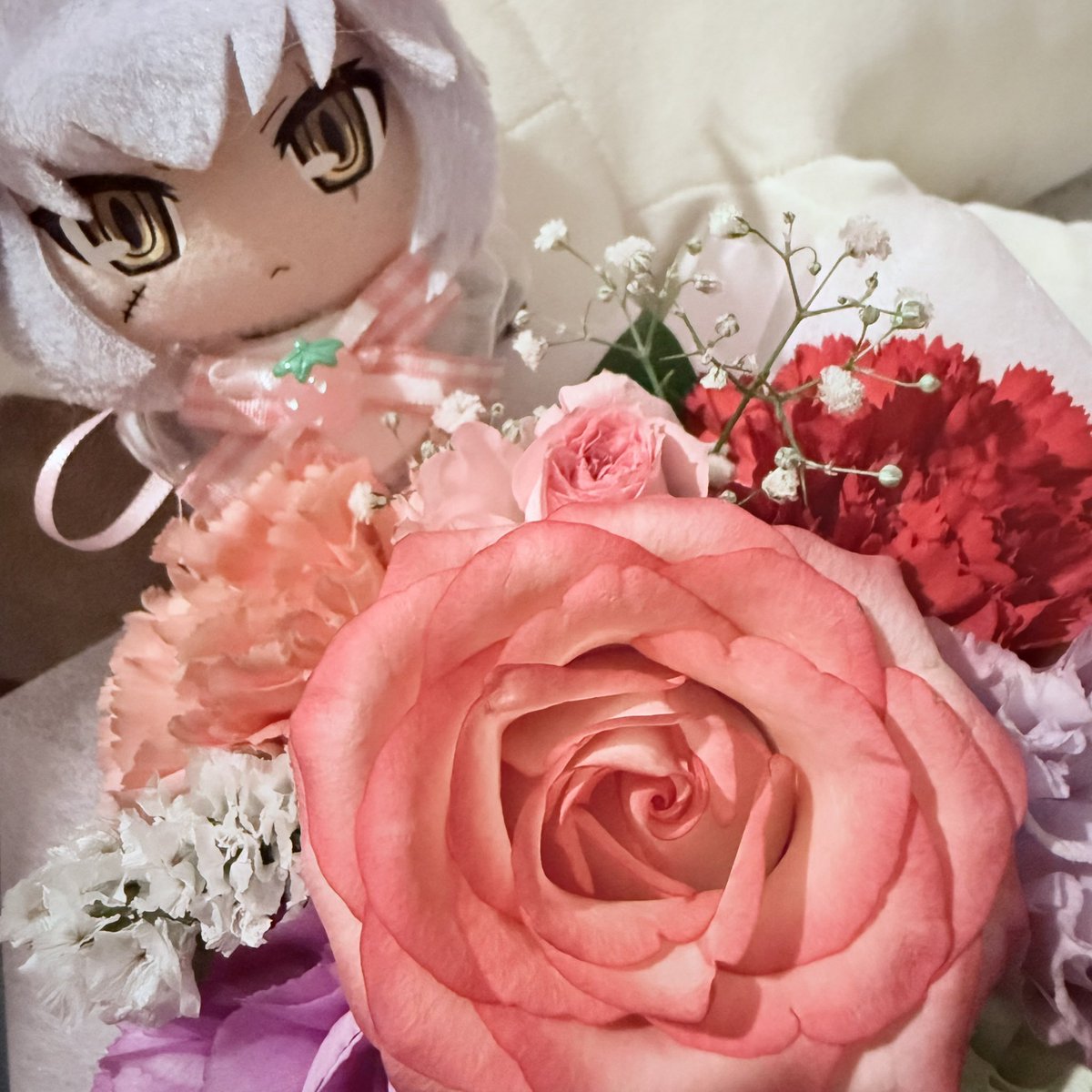 4ROSUKE's tweet image. 帰ったらお花あった。きれいだね。