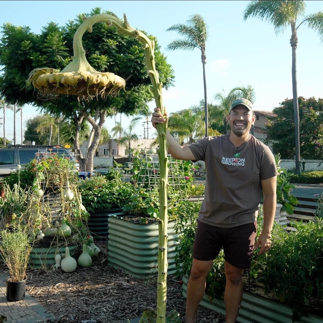 Kevin → Plant Daddy tweet media