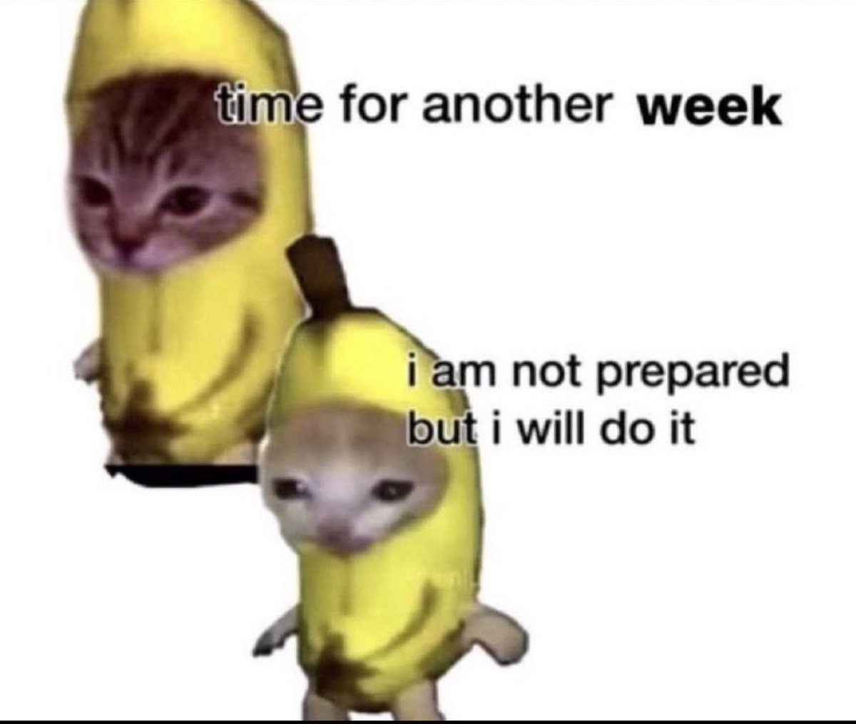 MizzyMogs's tweet image. 