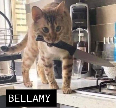 pippawestauthor's tweet image. Fun challenge - Post your main characters as silly cat pictures! Here are the cast of Manor WIP.