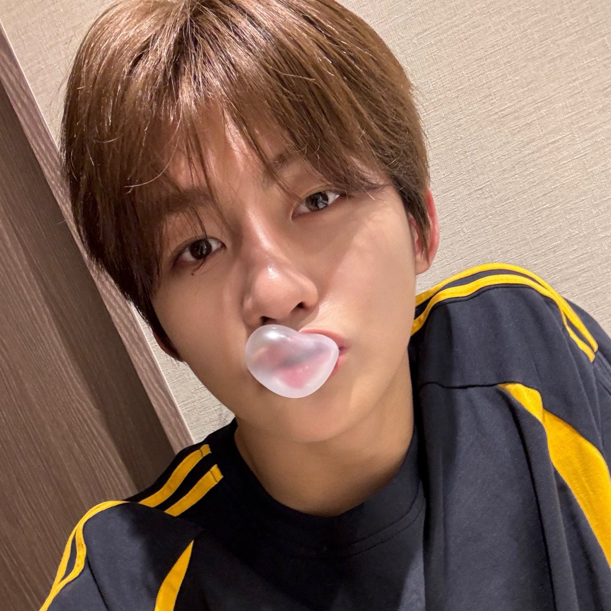 bluemingtws's tweet image. 앙이라고함