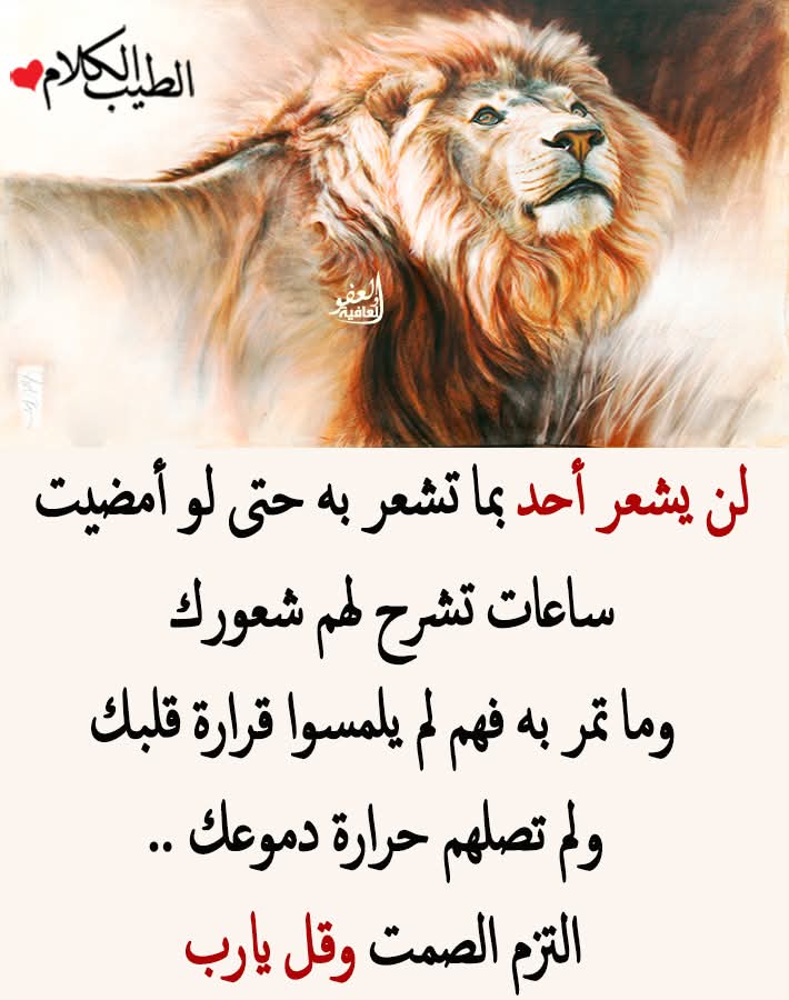 احمد تامر (@bybyyrswll67357) on Twitter photo 
