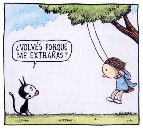palito35's tweet image. Preguntas de la vida....